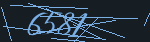 CAPTCHA code