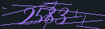 CAPTCHA code