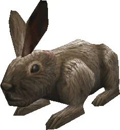 Rabbit Rabbit