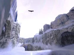 Flying bird on De_Survivor