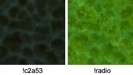 Examples of liquid textures Examples of liquid textures
