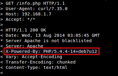 PHP version shown 2
